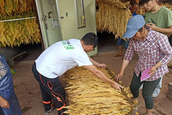 同益空氣能南雄烤煙項(xiàng)目實(shí)景