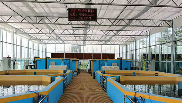 空氣能熱泵養(yǎng)殖系統(tǒng)